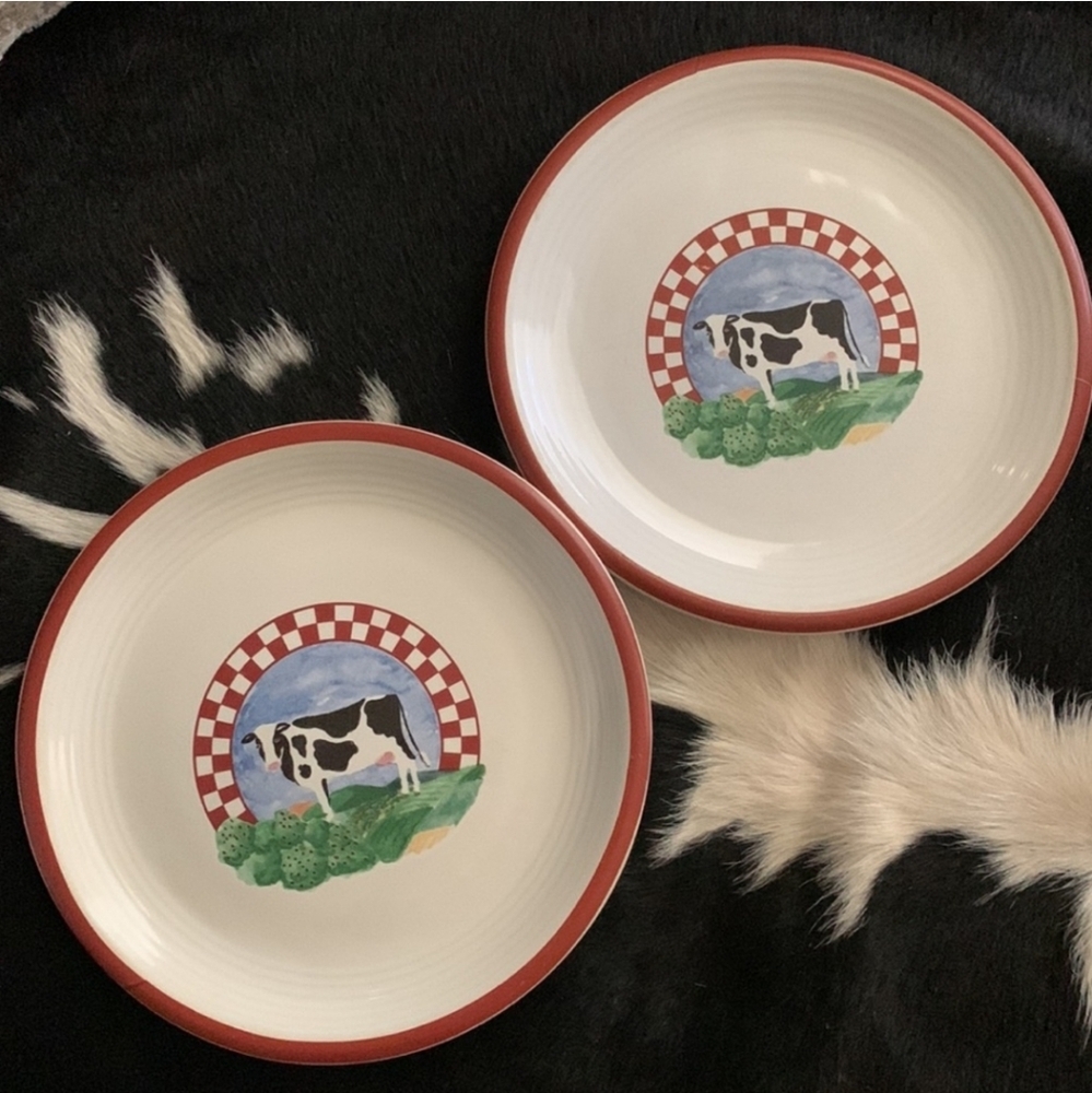 CENTURY STONEWARE Fannie's Farm Salad/Dessert Plate | 11" set of two